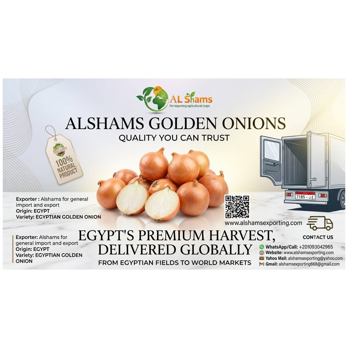 golden onion 1