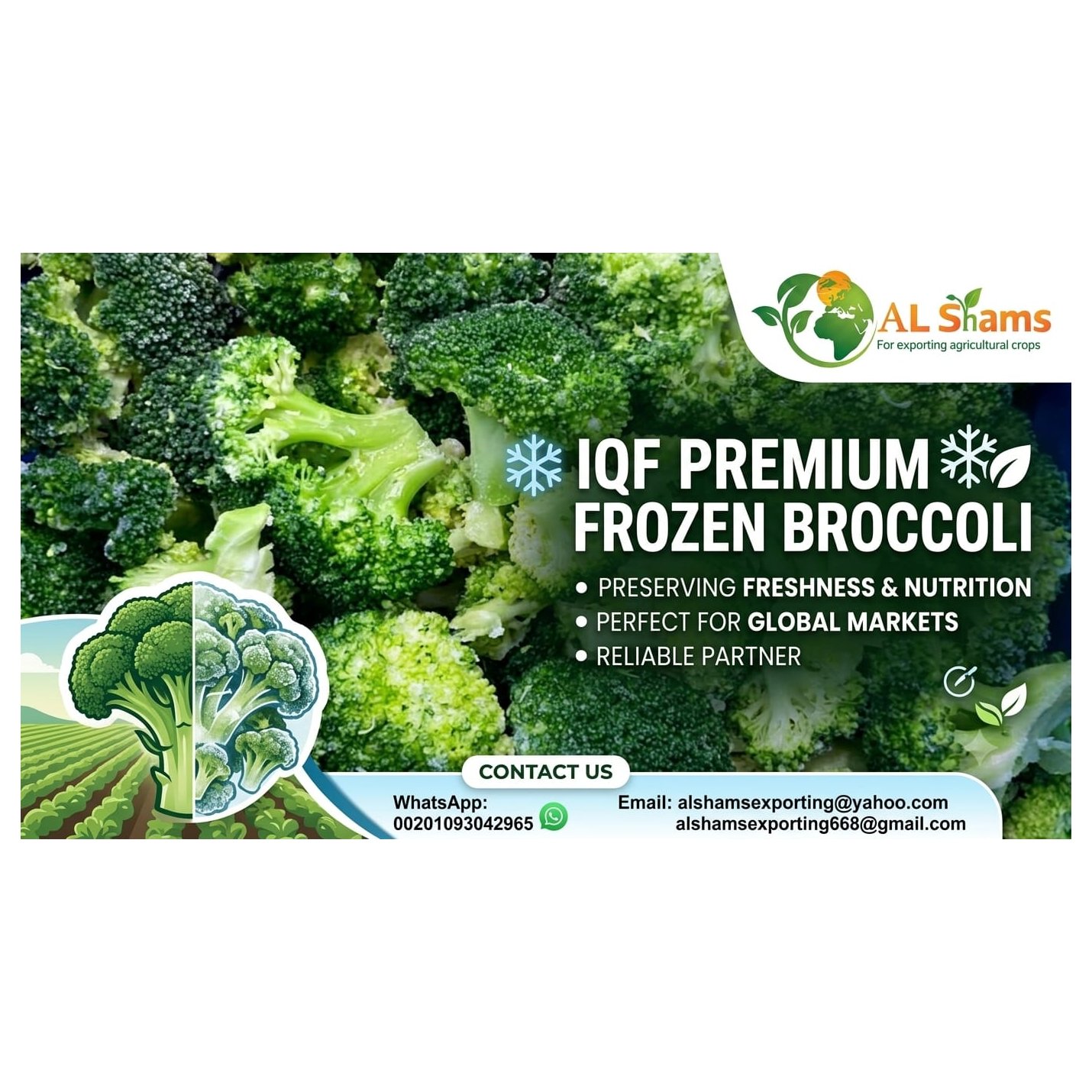 FROZEN BROCCOLI