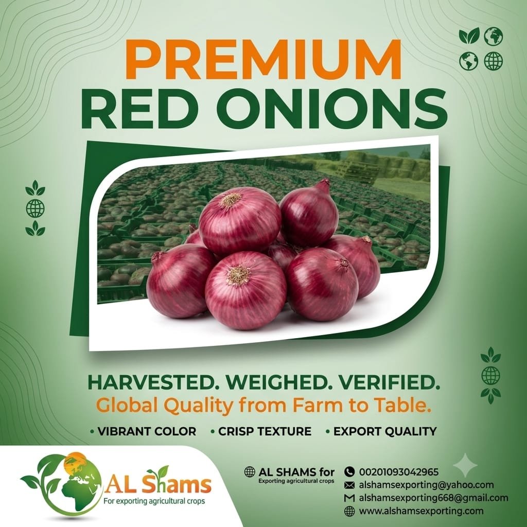 red onion 1