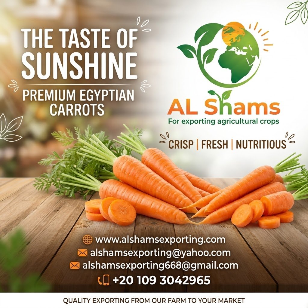 FRESH CARROT 1