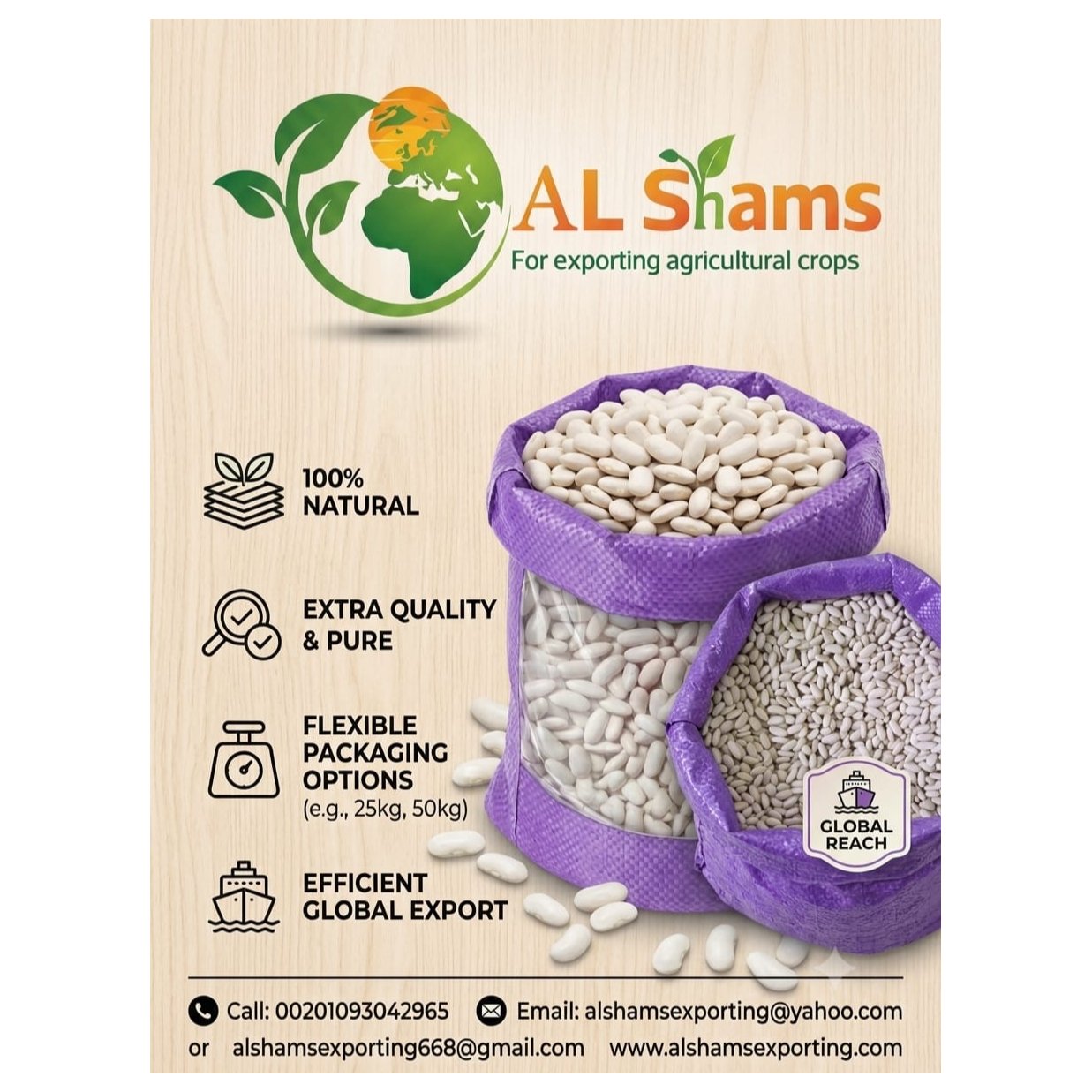 WHITE BEANS 1