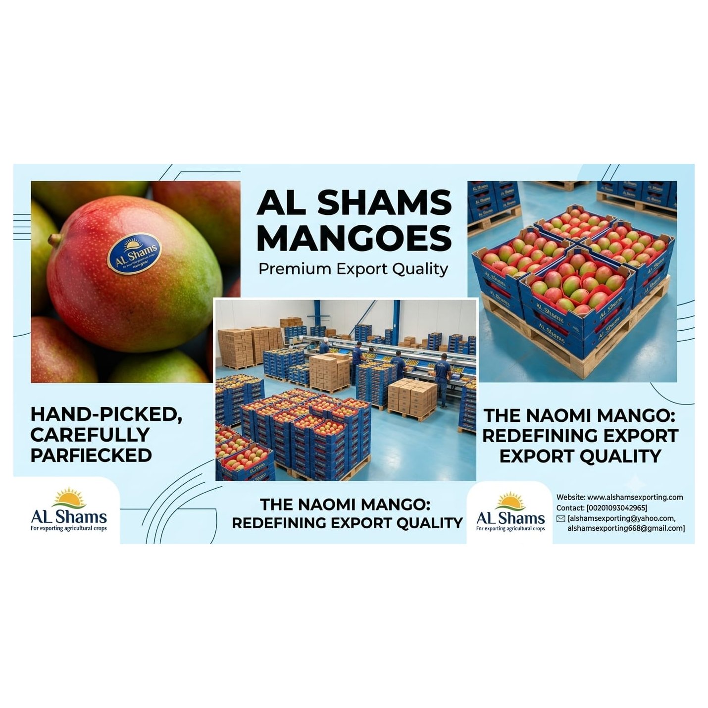 fresh mango 1