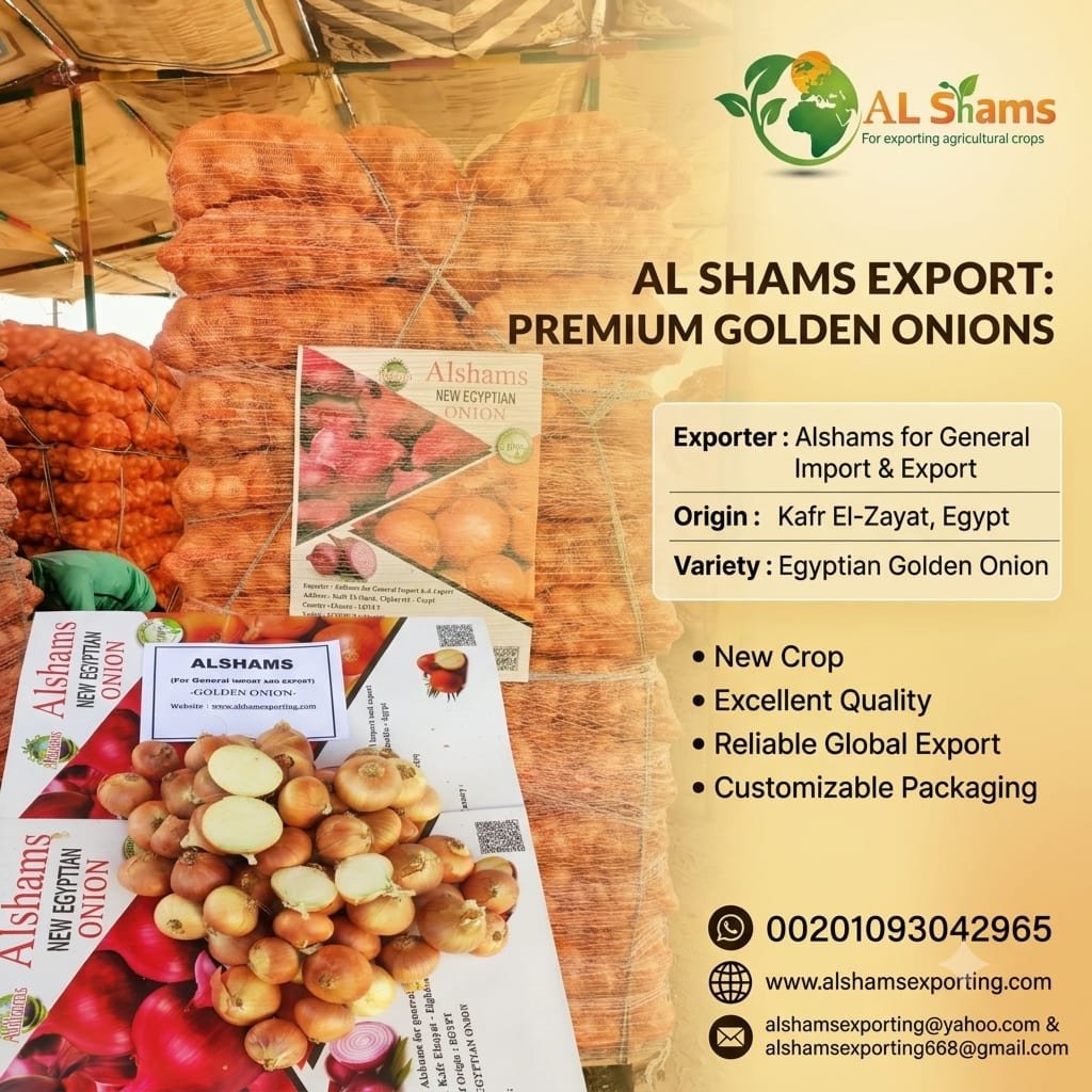 GOLDEN ONION 1