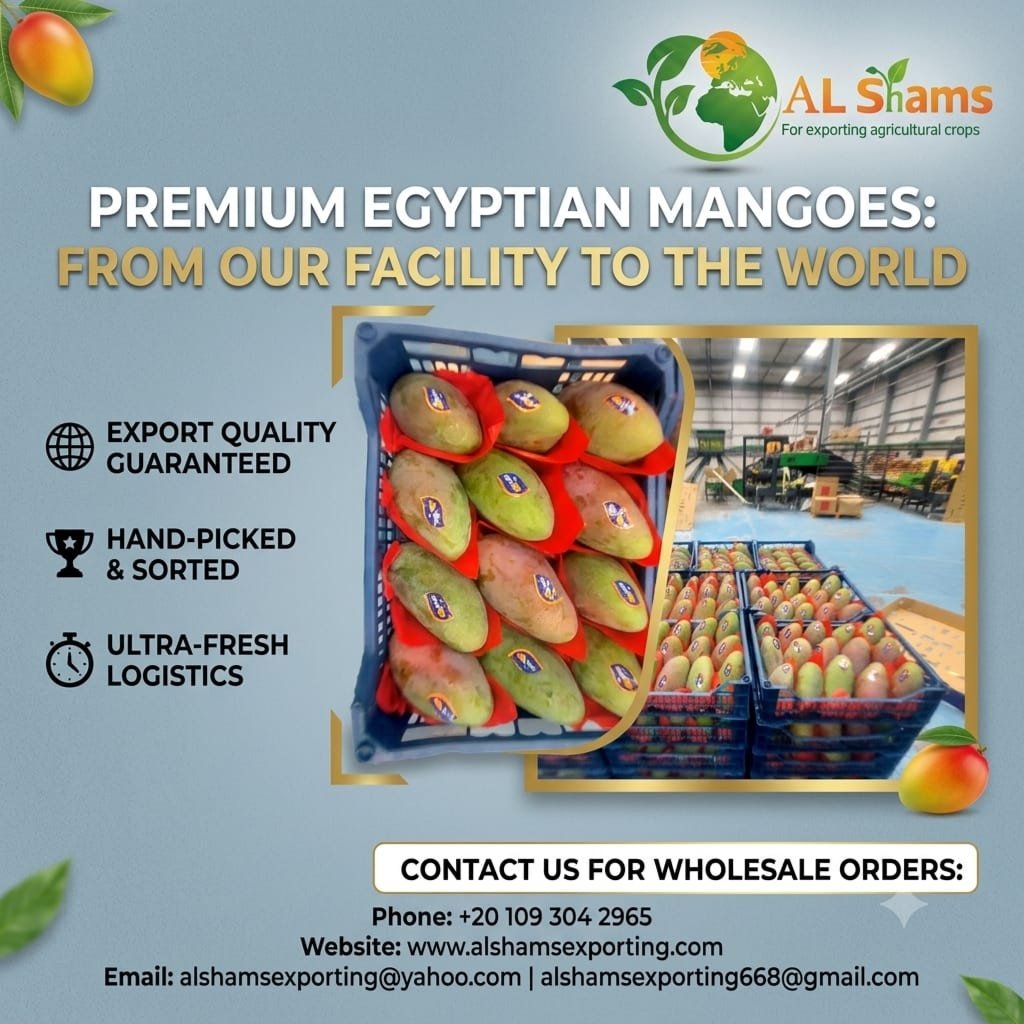 fresh mango 1