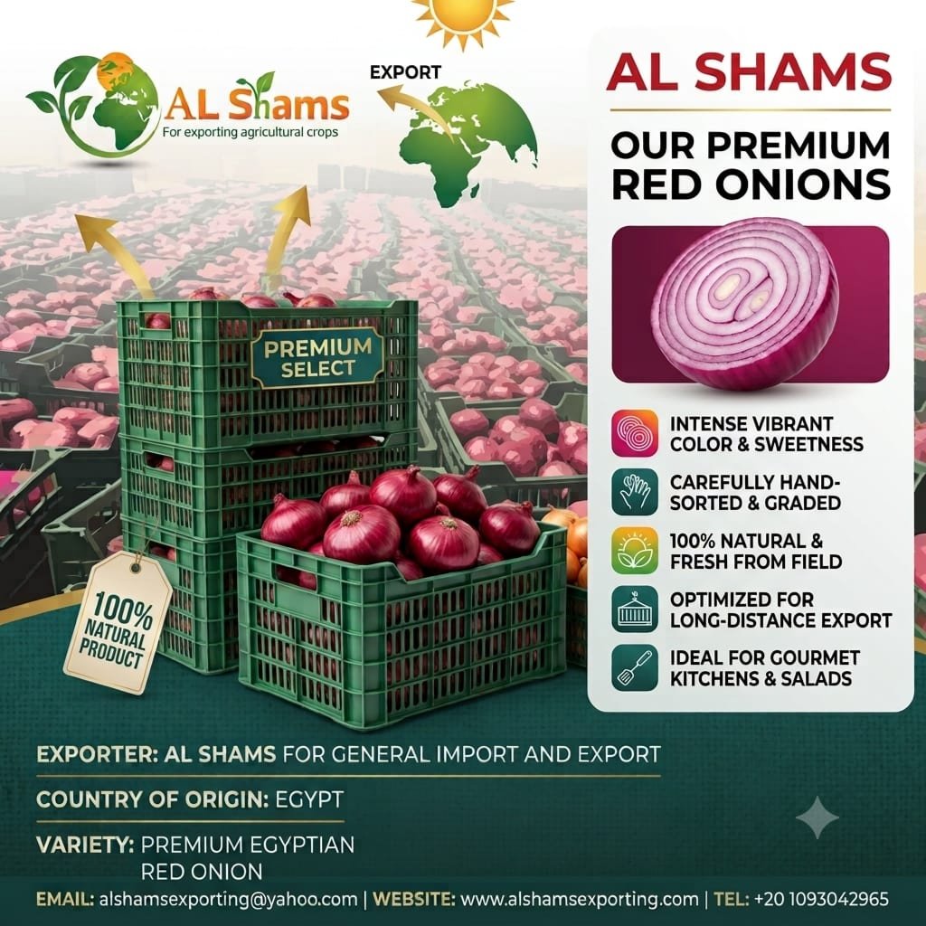 FRESH RED ONION
