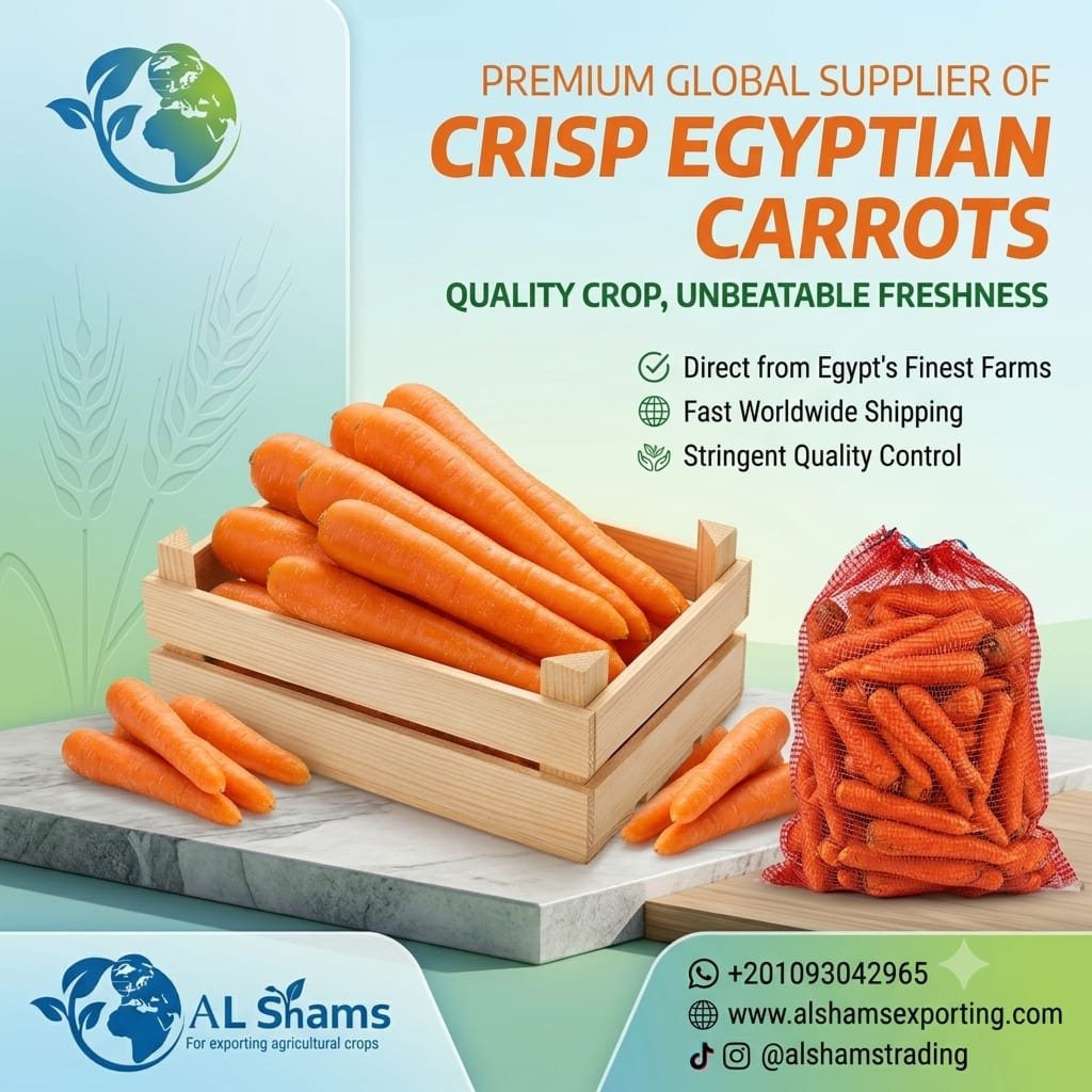 fresh carrot