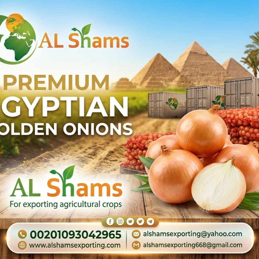 Golden onion 