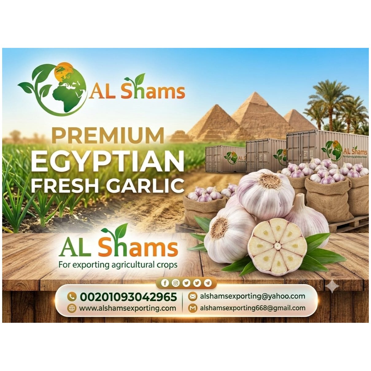 FRESH GARLIC