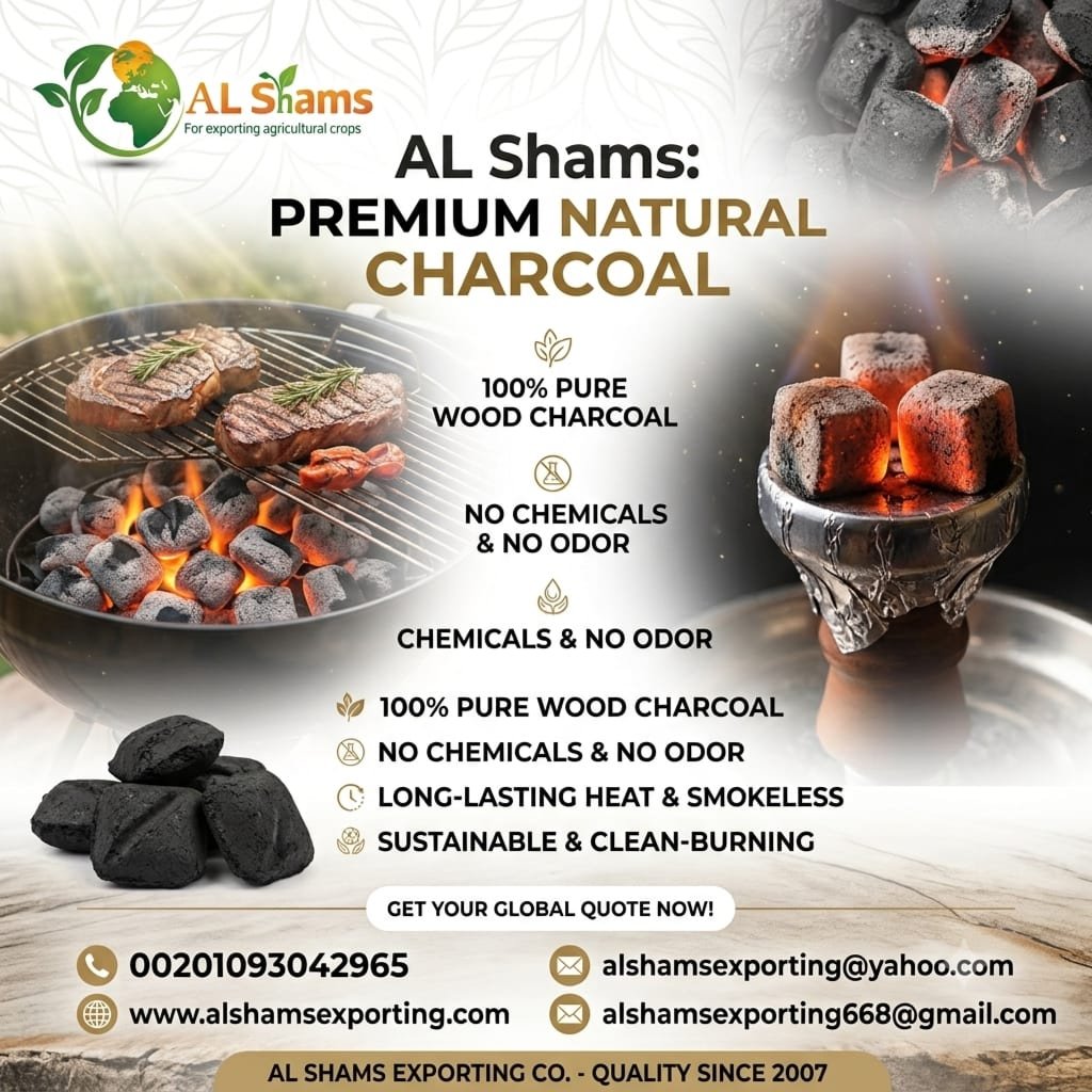 NATURAL CHARCOAL 1