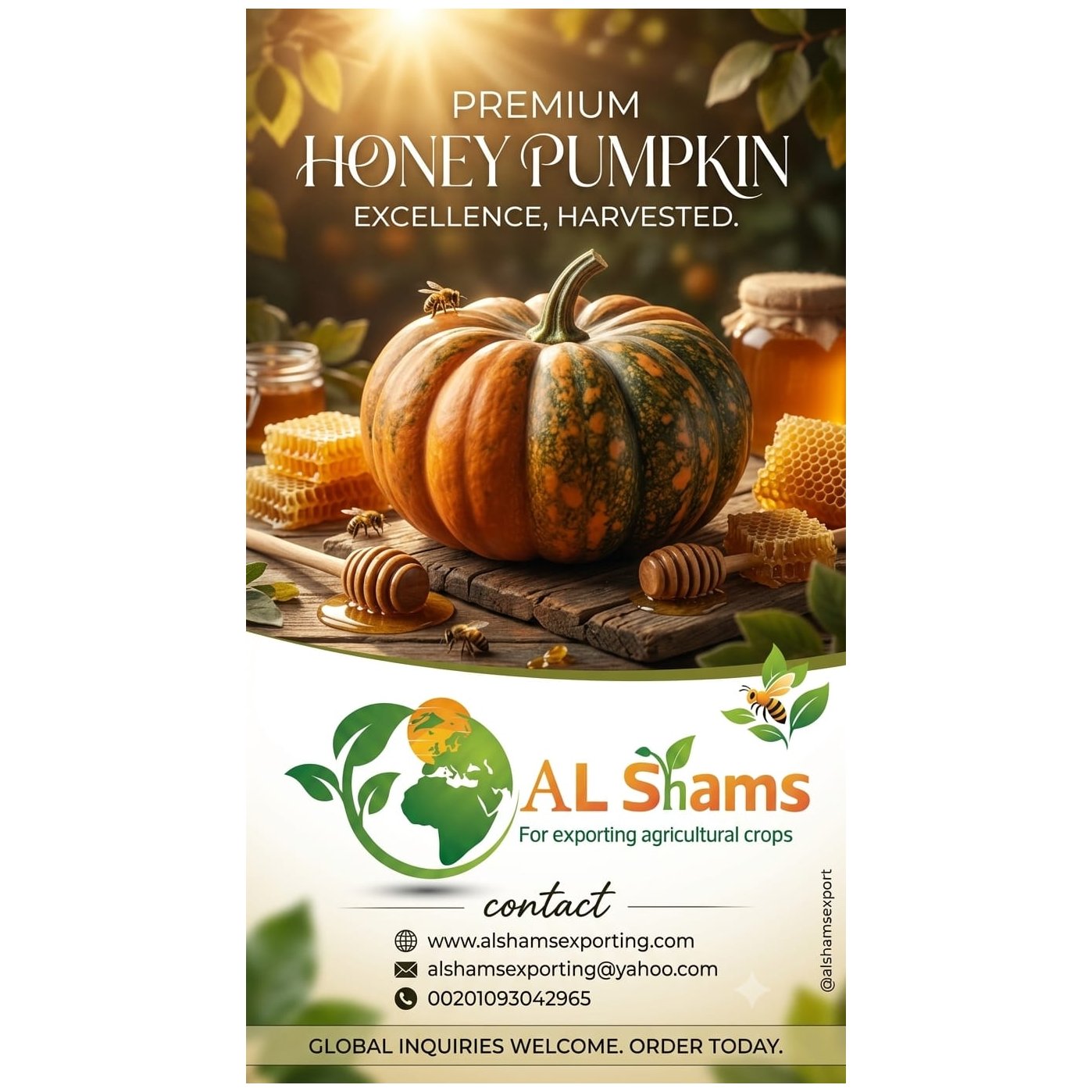 premium pumpkin 1