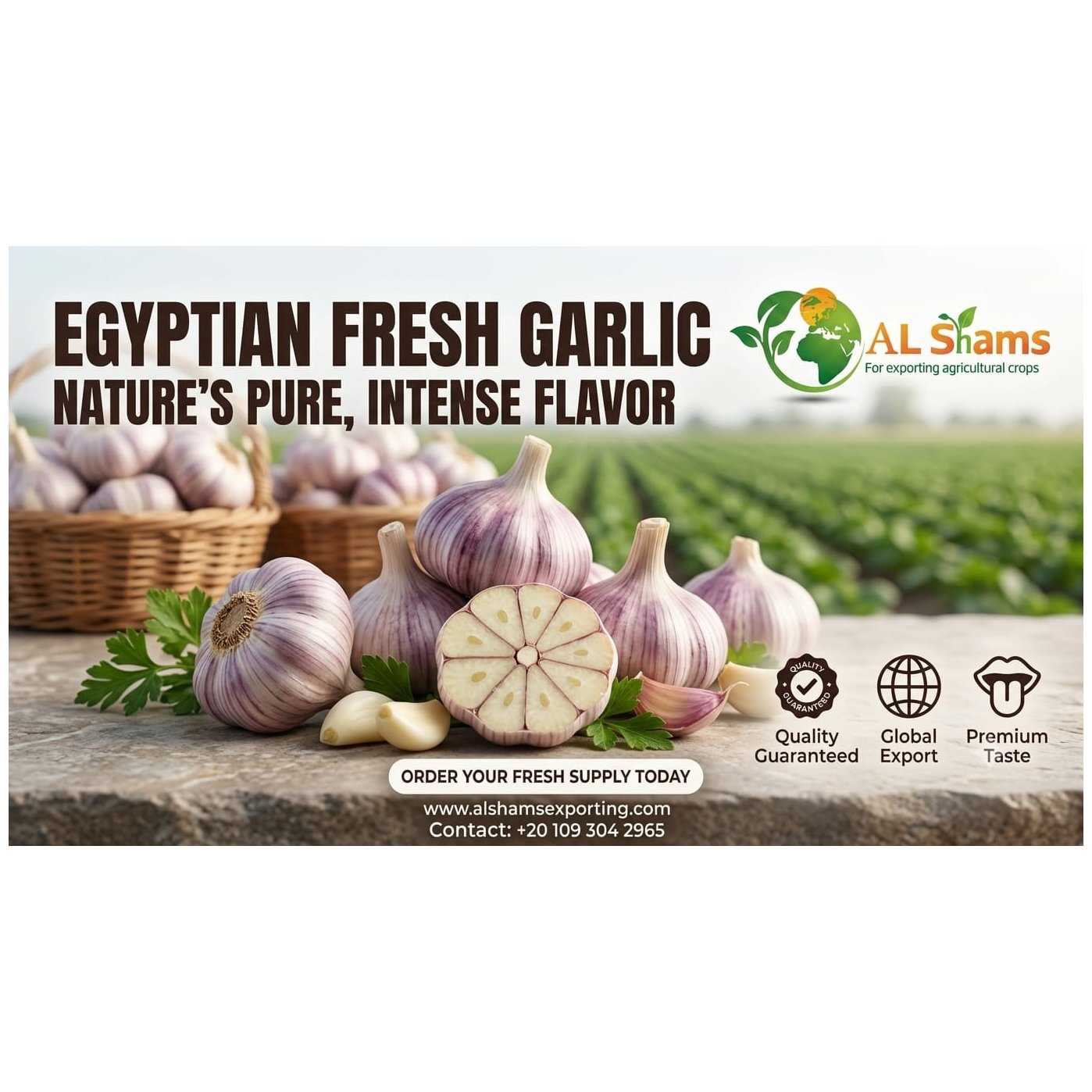 fresh garlic 1