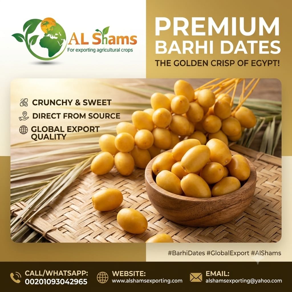 barhi dates