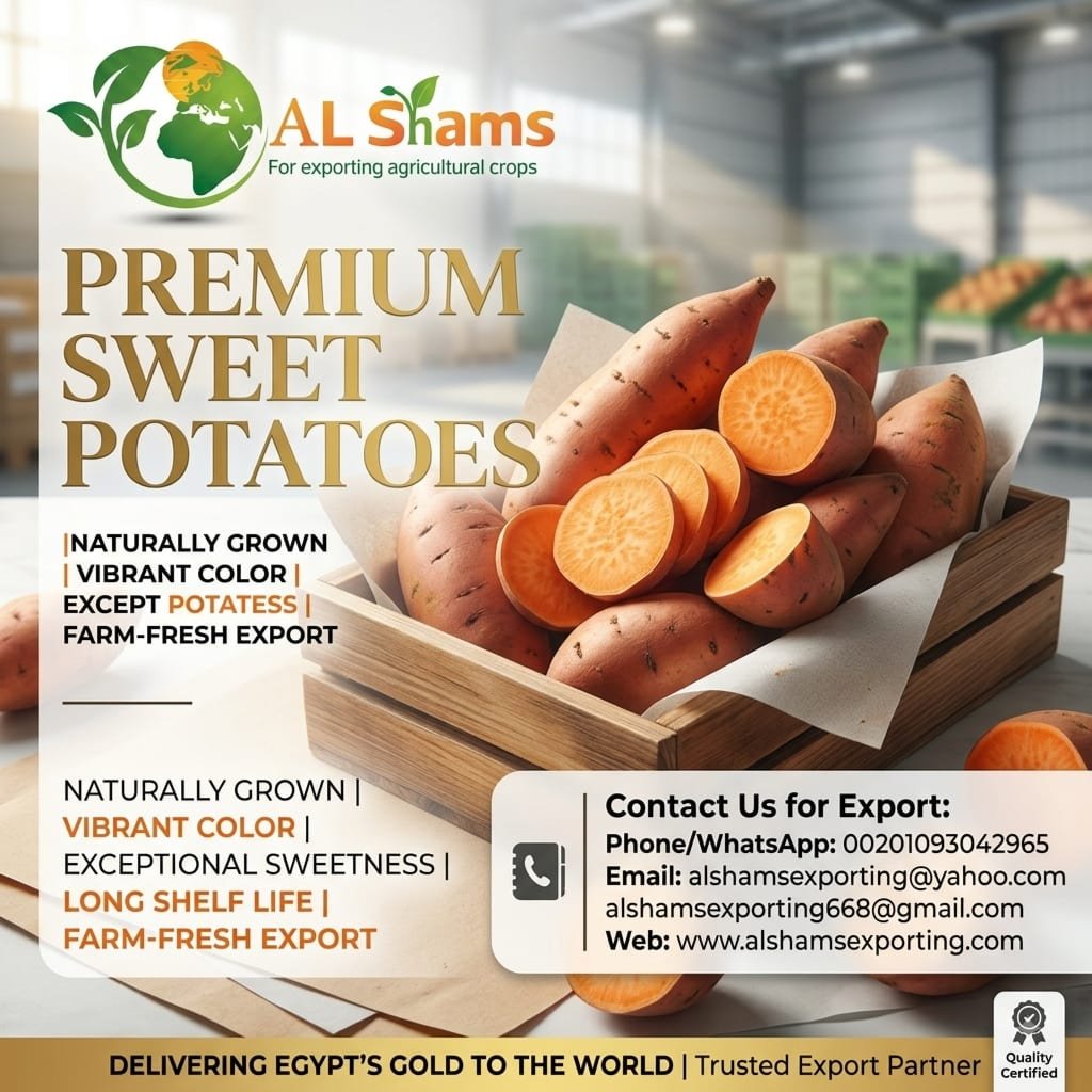 SWEET POTATO