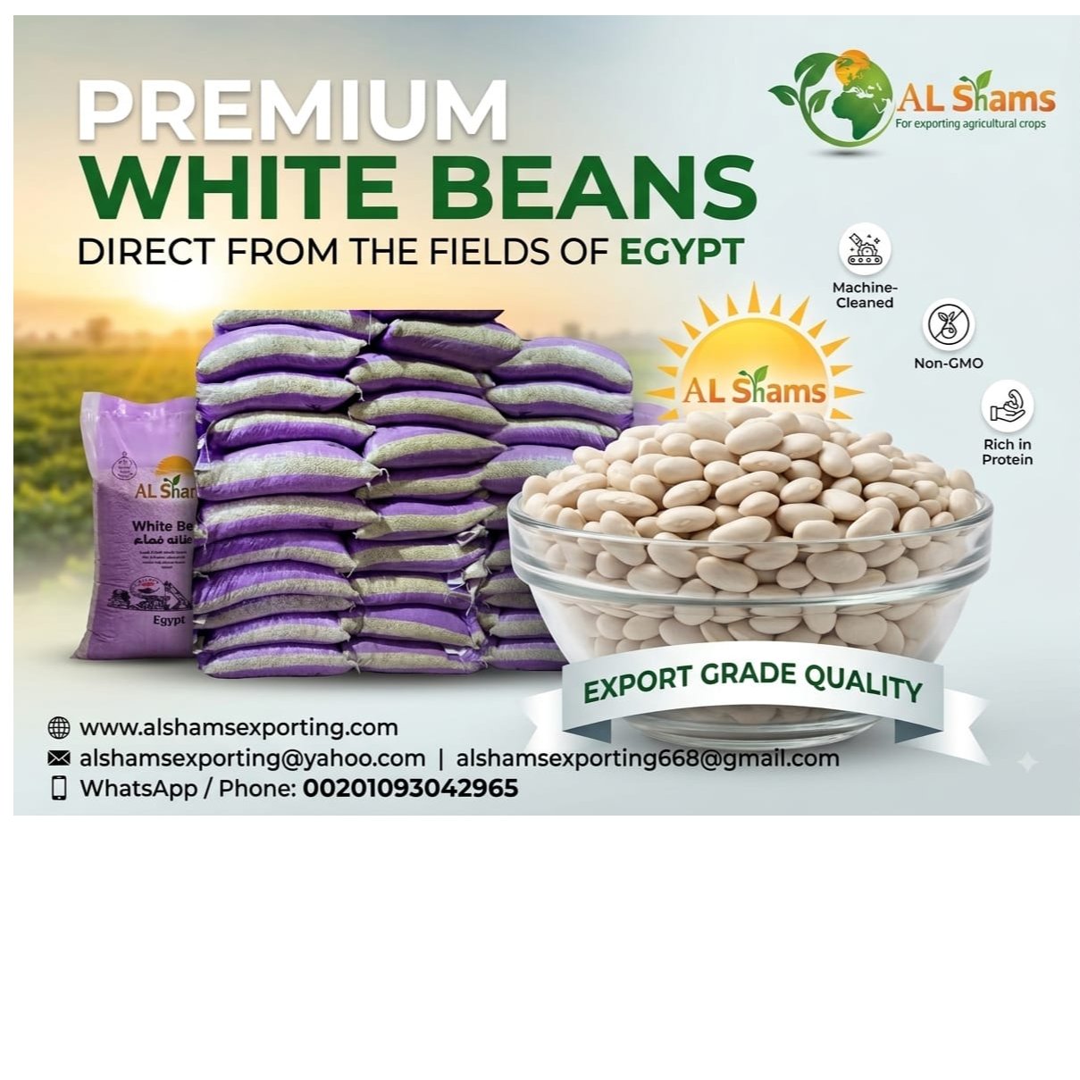 white beans 2