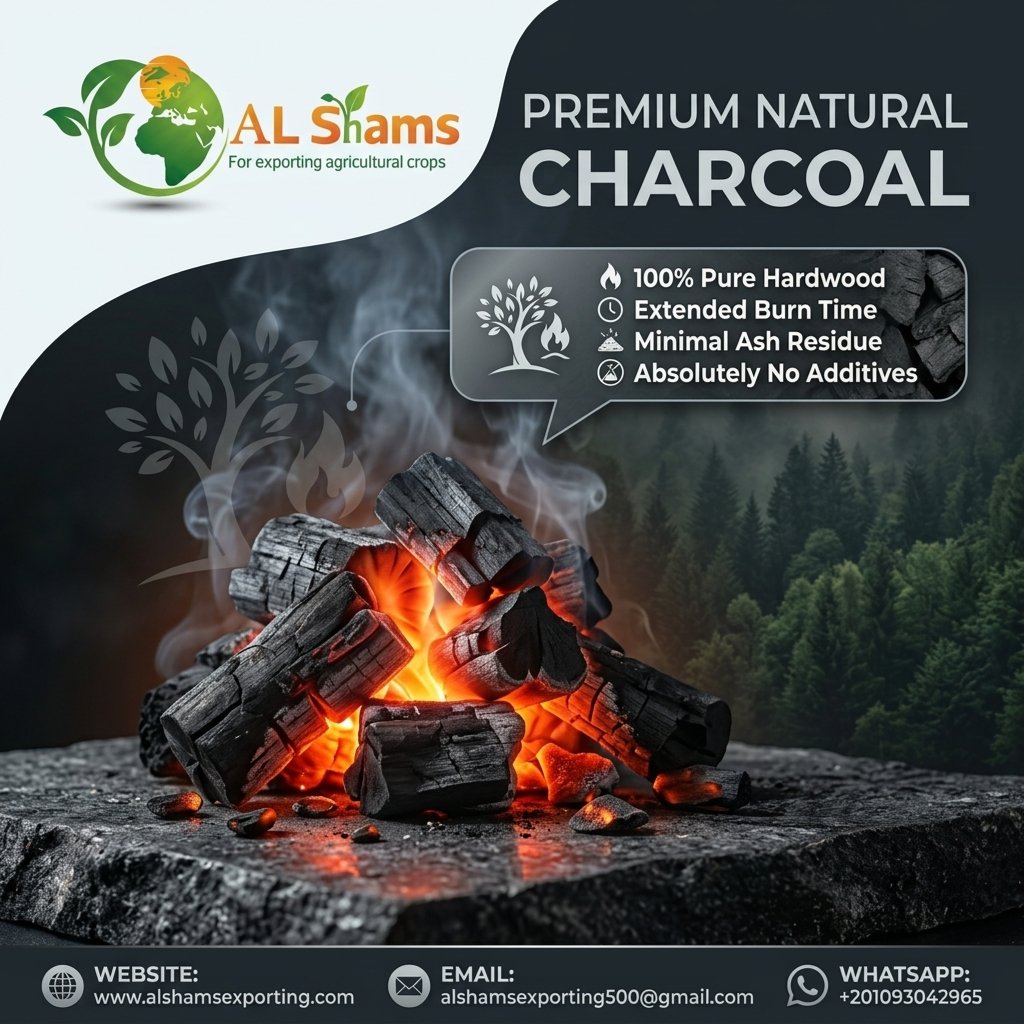natural charcoal 