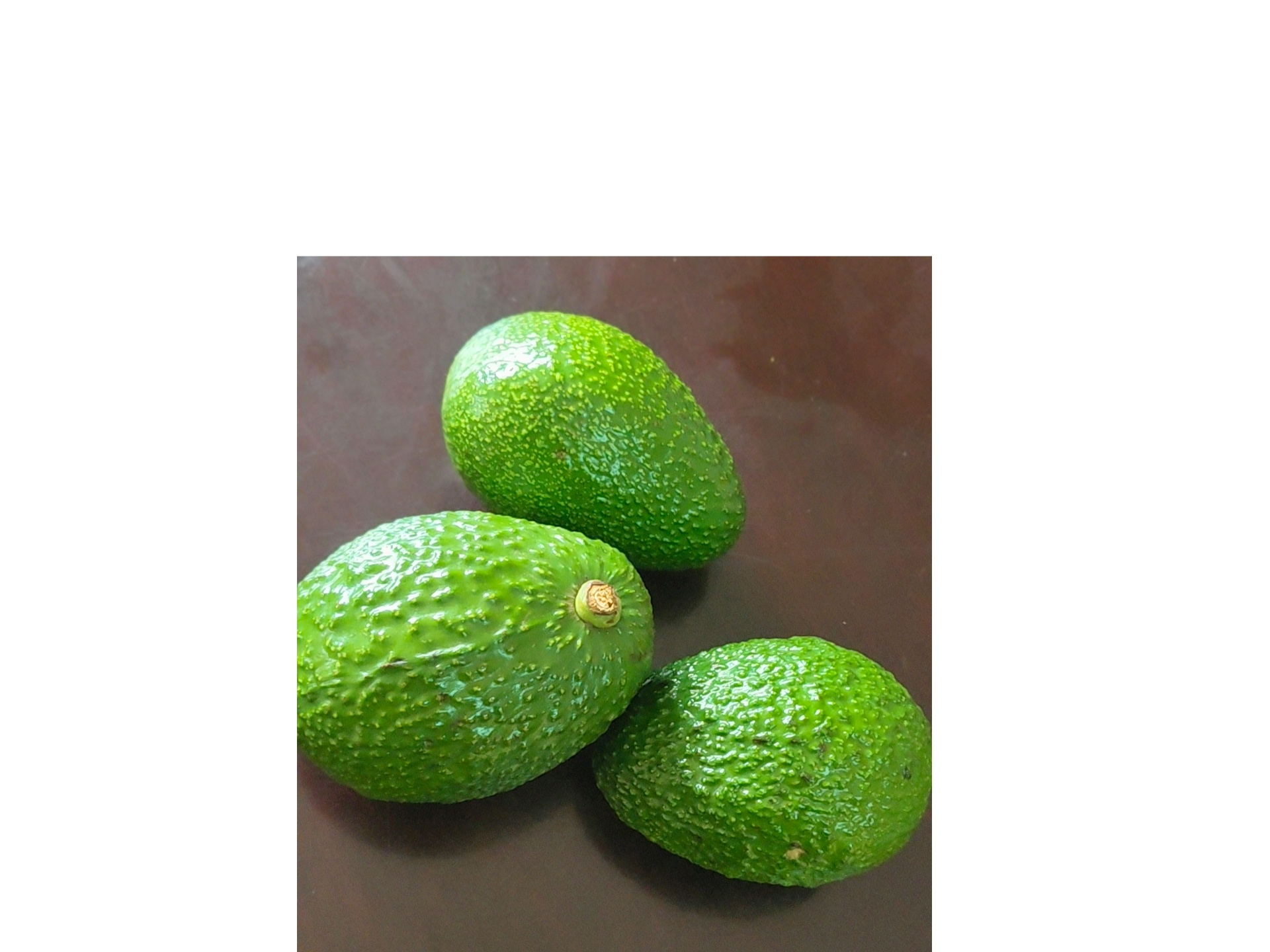 Avacado 14