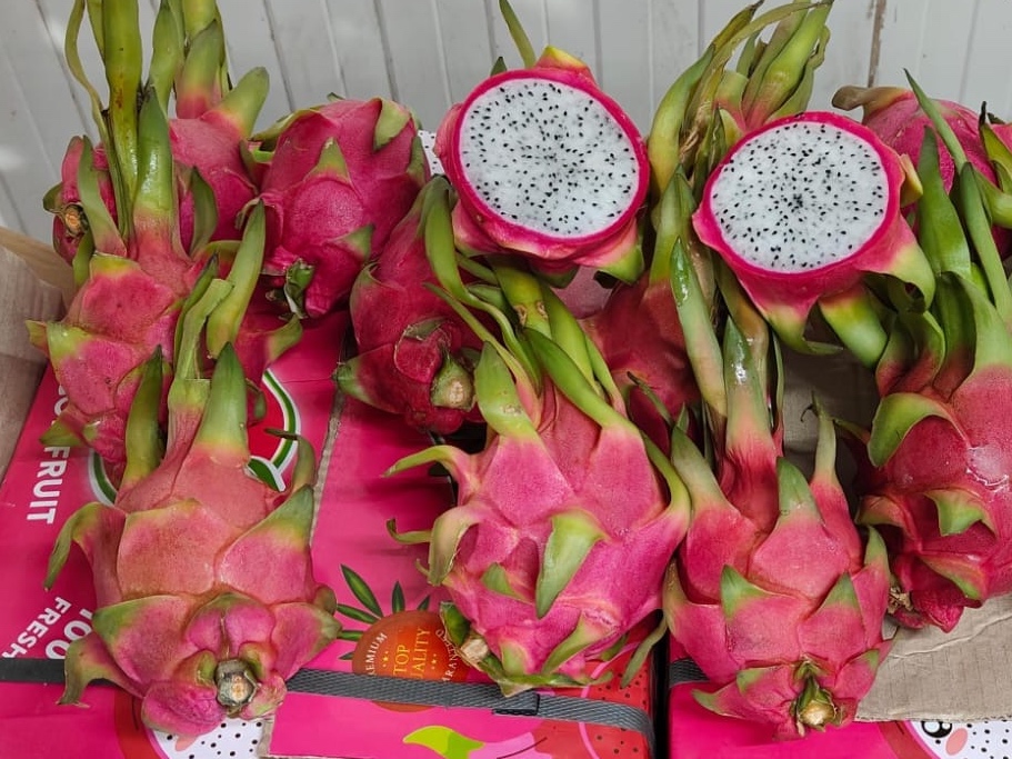 Dragon fruit 1