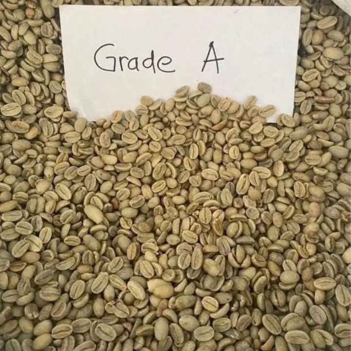 Coffee (Robusta and Arabica) 1