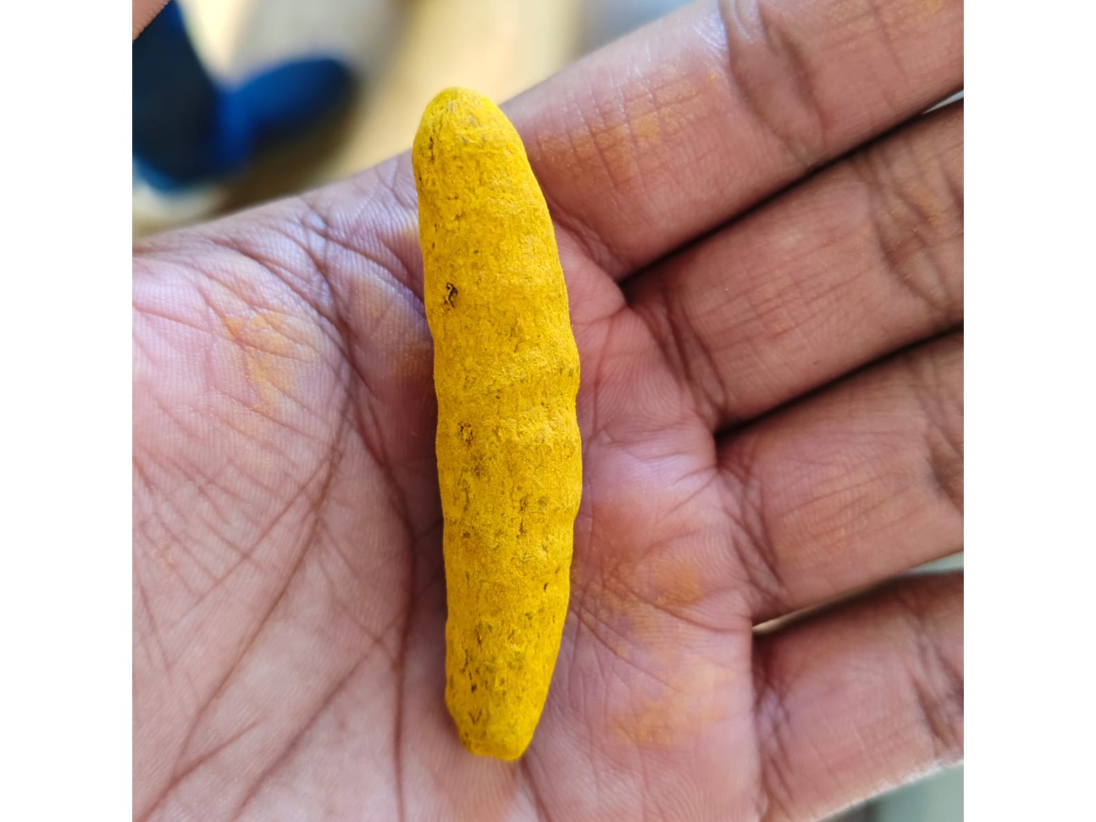 Turmeric Finger 3