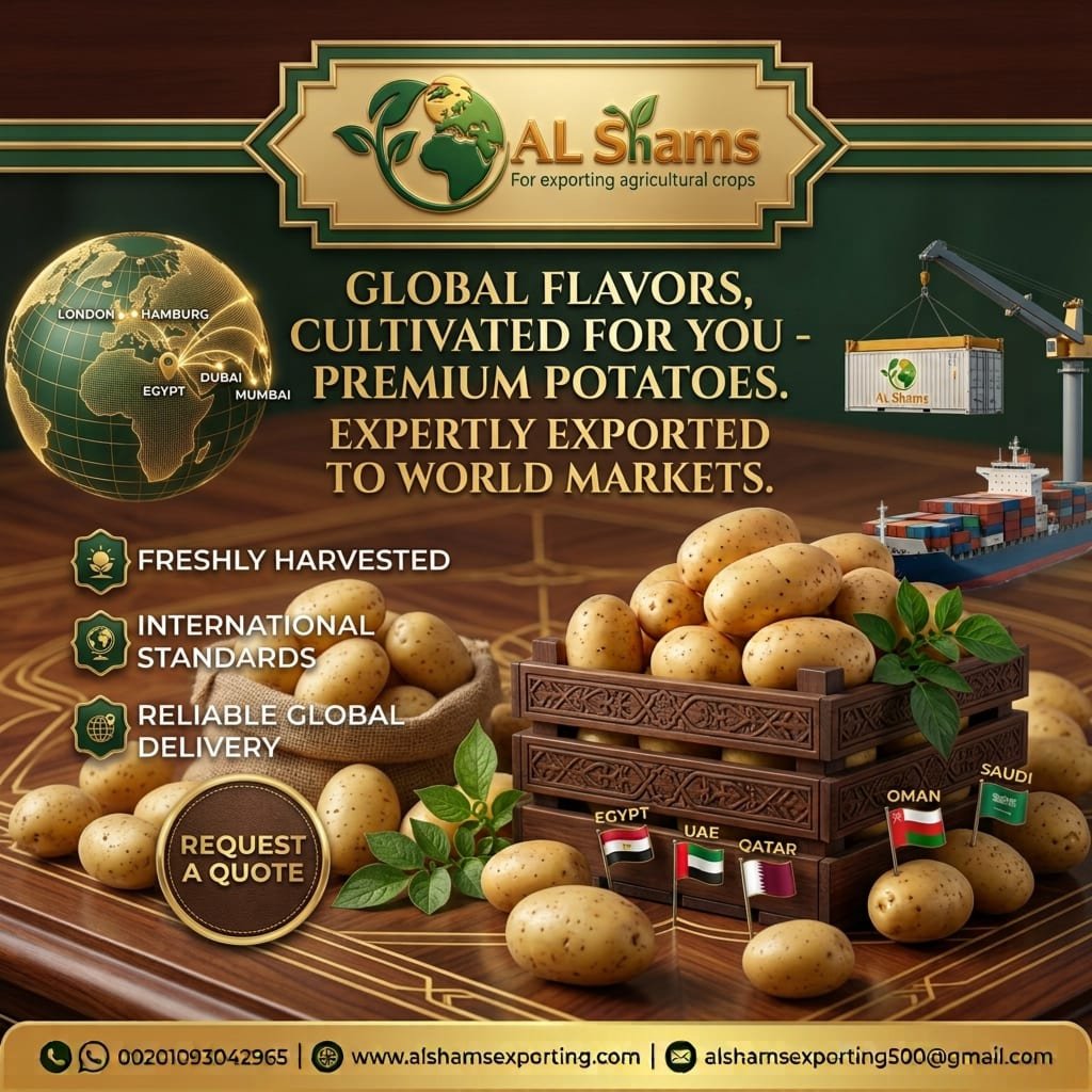 fresh potato 