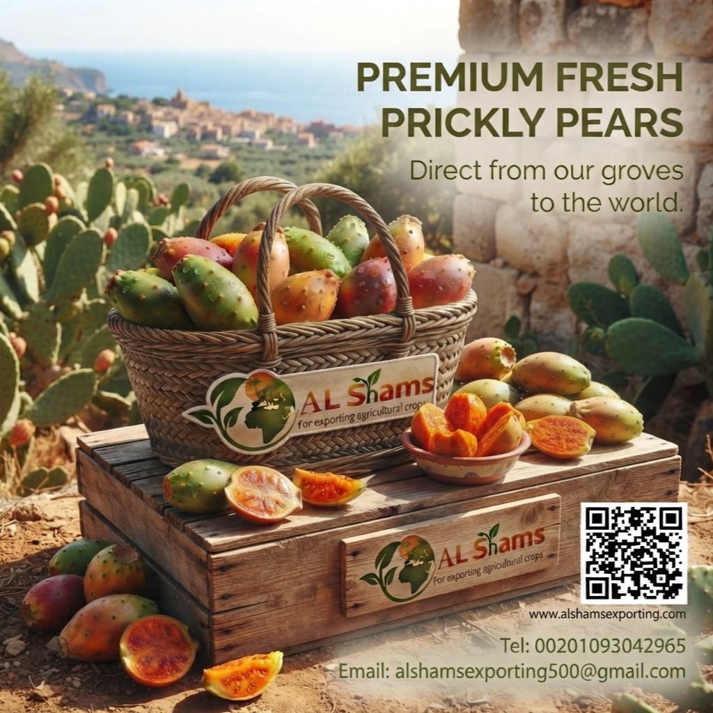 PRICKLY PEAR  1