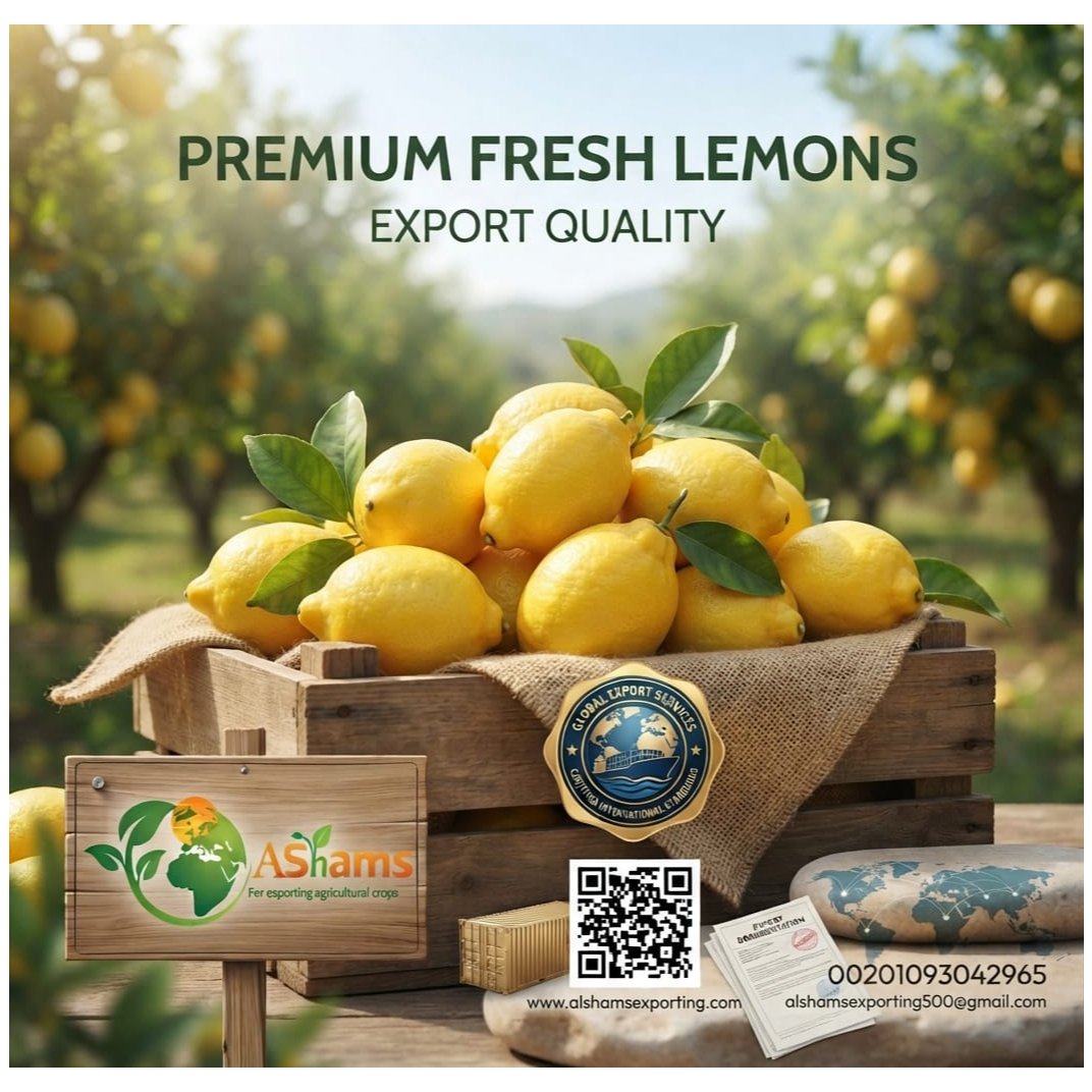 FRESH LEMON 1