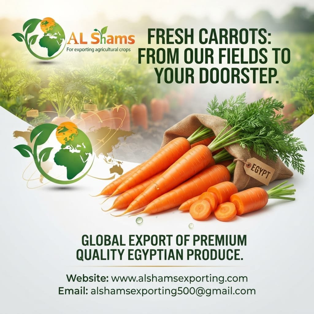 fresh carrot