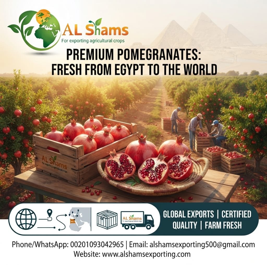 fresh Pomegranates 2