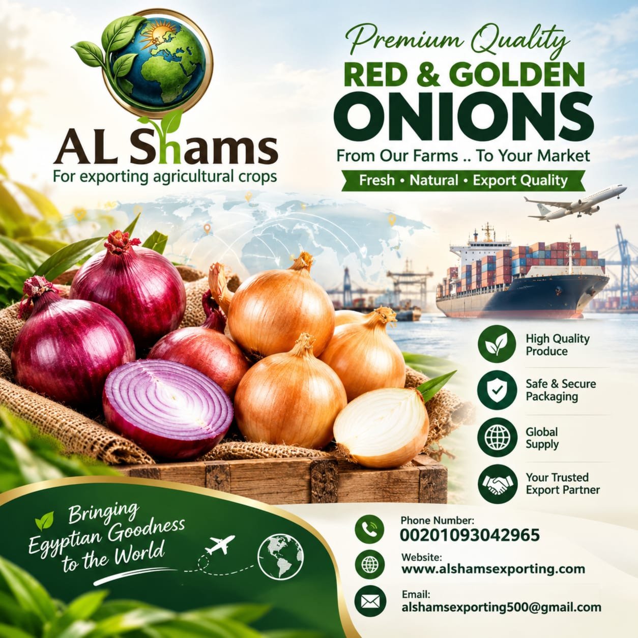 FRESH ONION