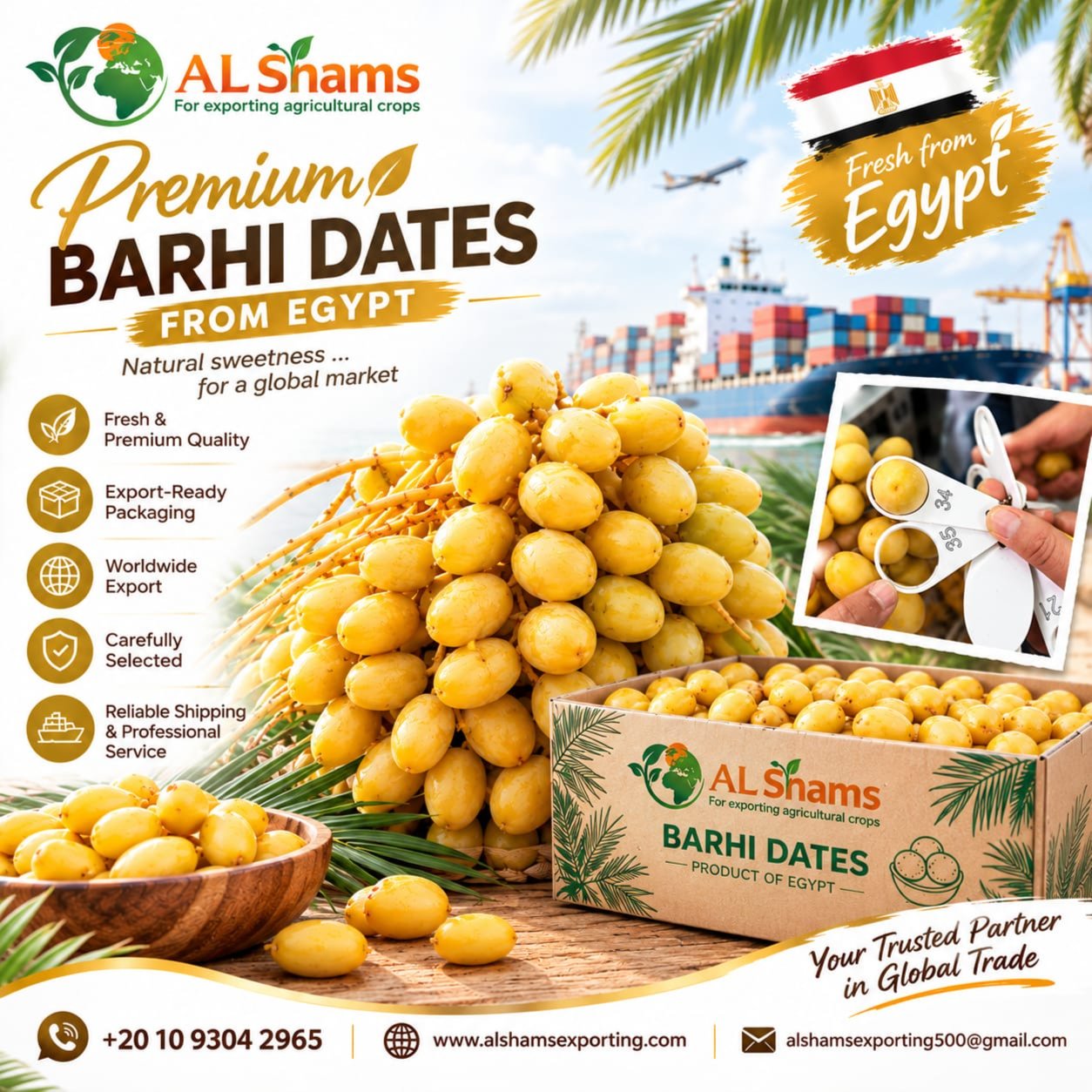barhi dates