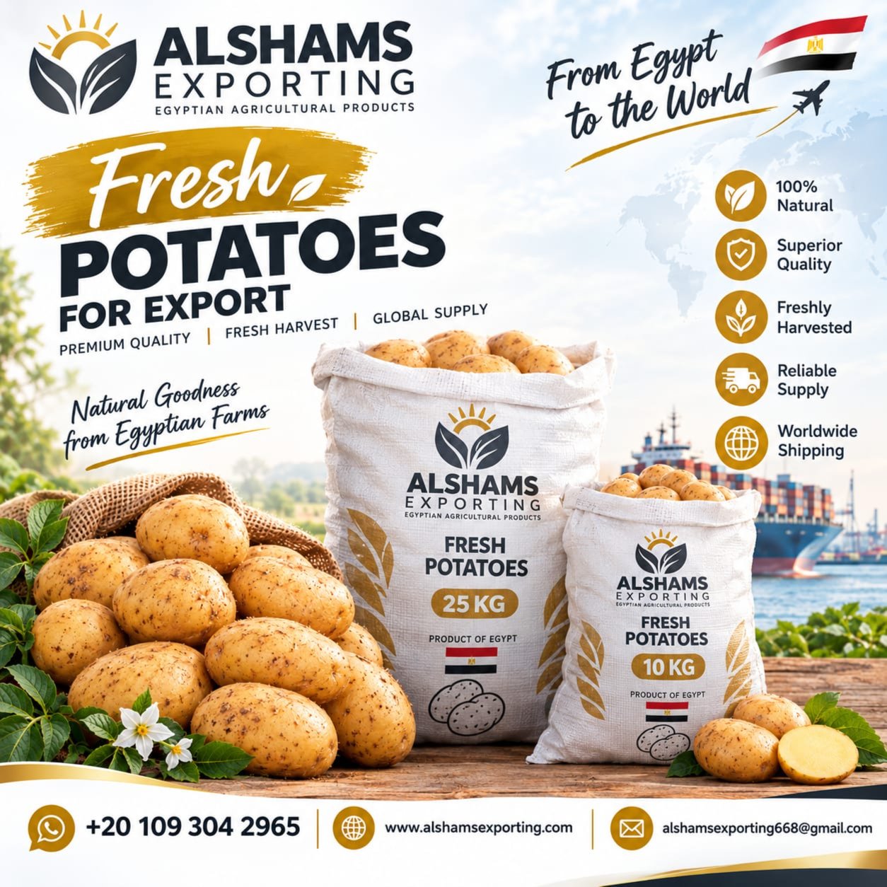 FRESH POTATO
