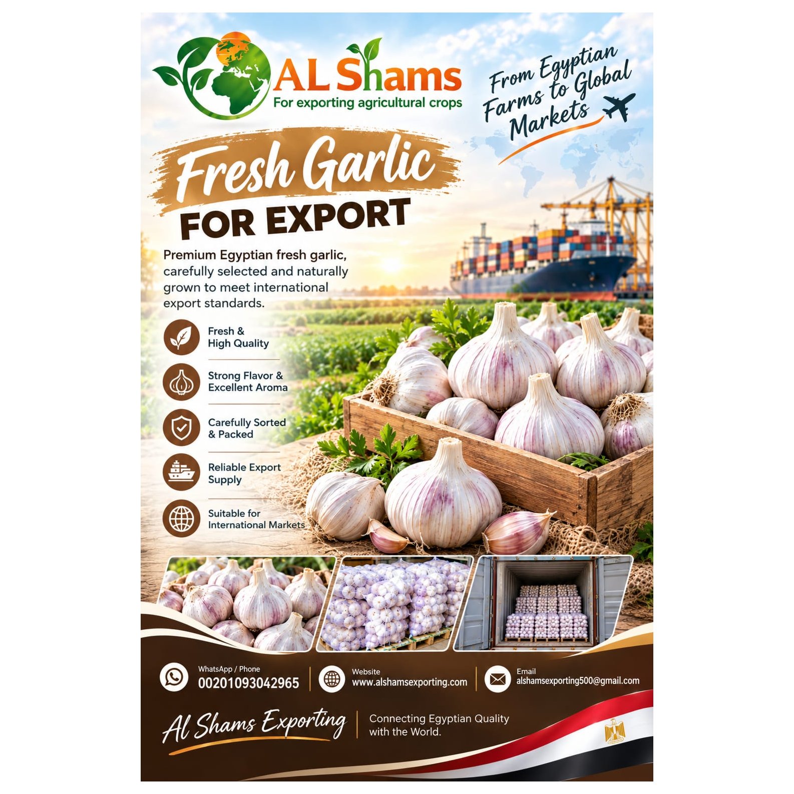 fresh garlic 