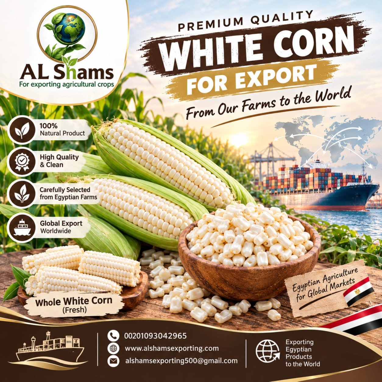 WHITE CORN 