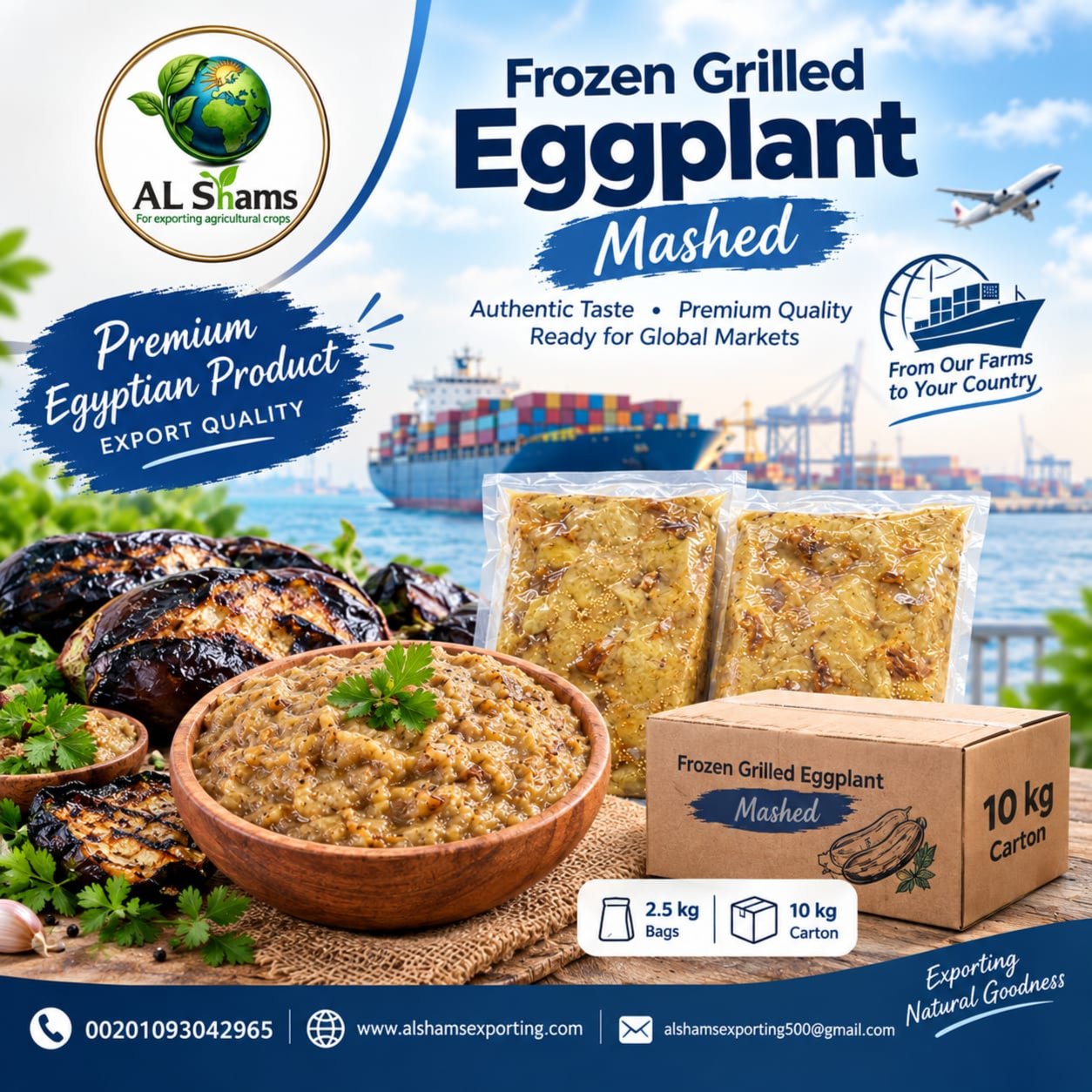 frozen roasted eggplant 1