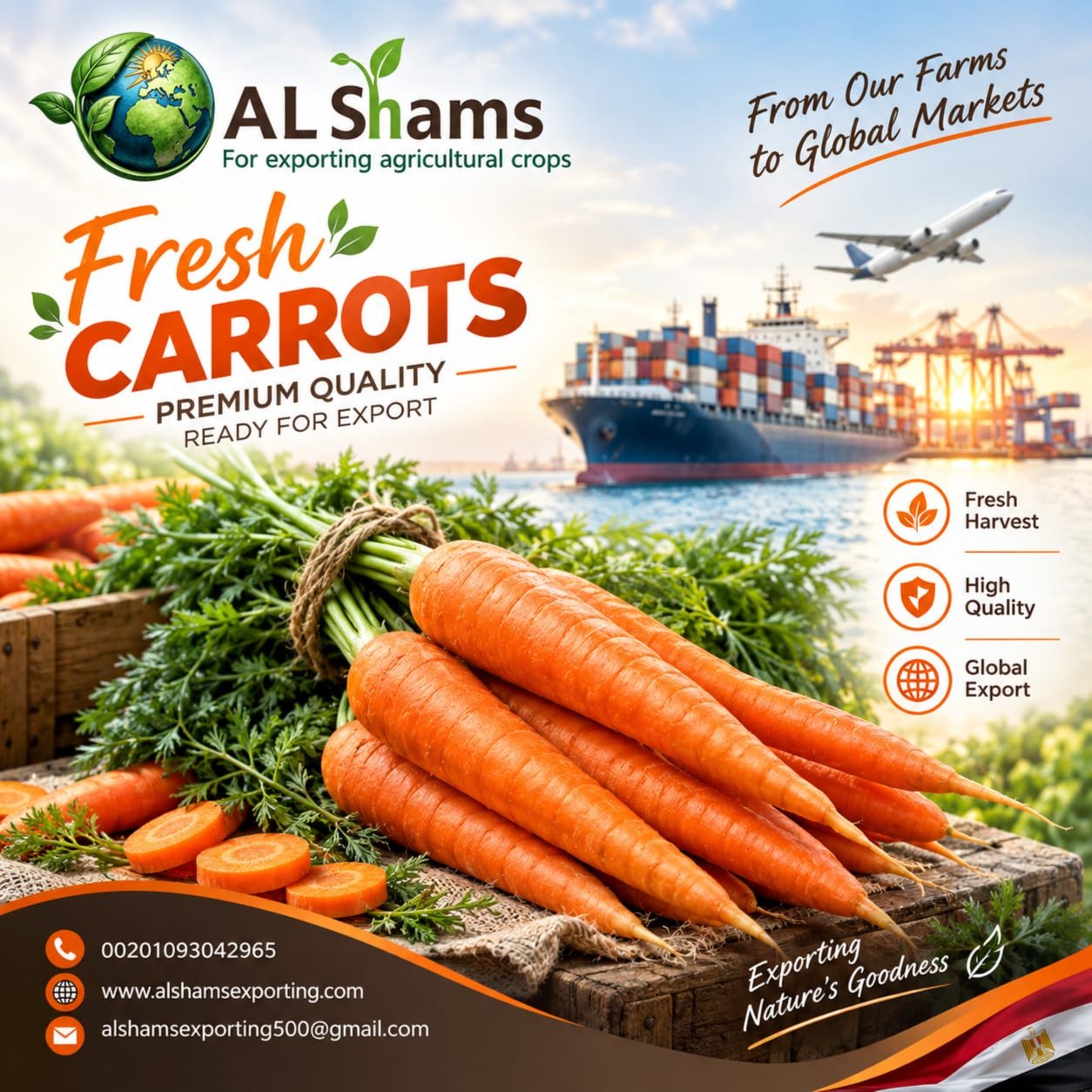 FRESH CARROT  1