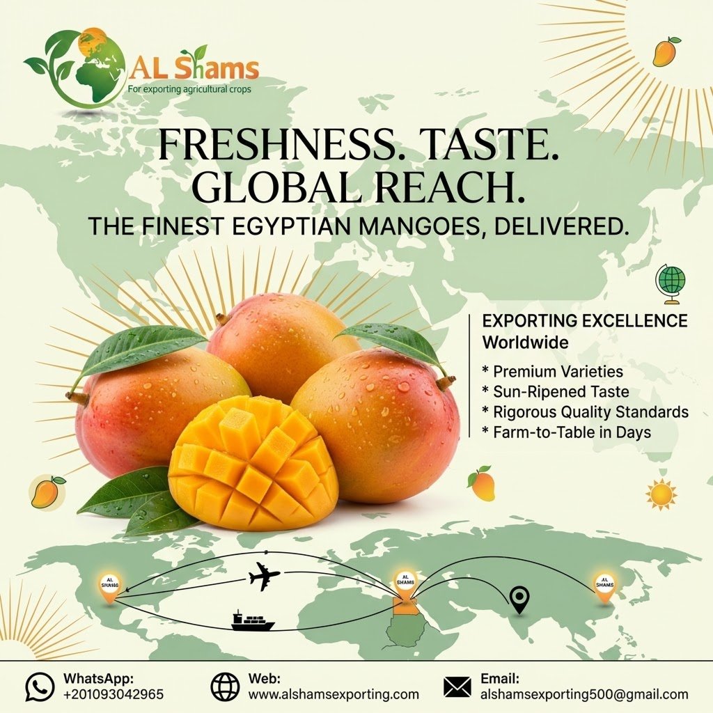 FRESH MANGO