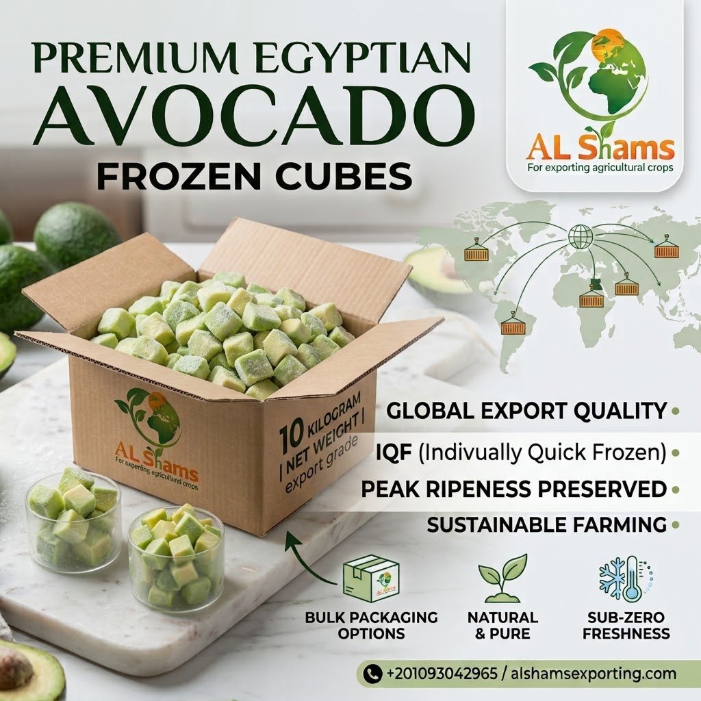 FROZEN AVOCADO 2