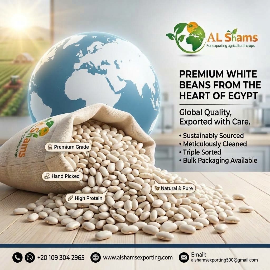 white beans 1