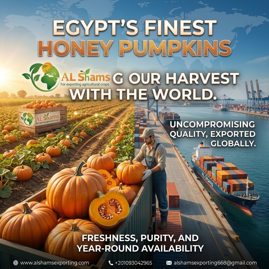 pumpkin  2