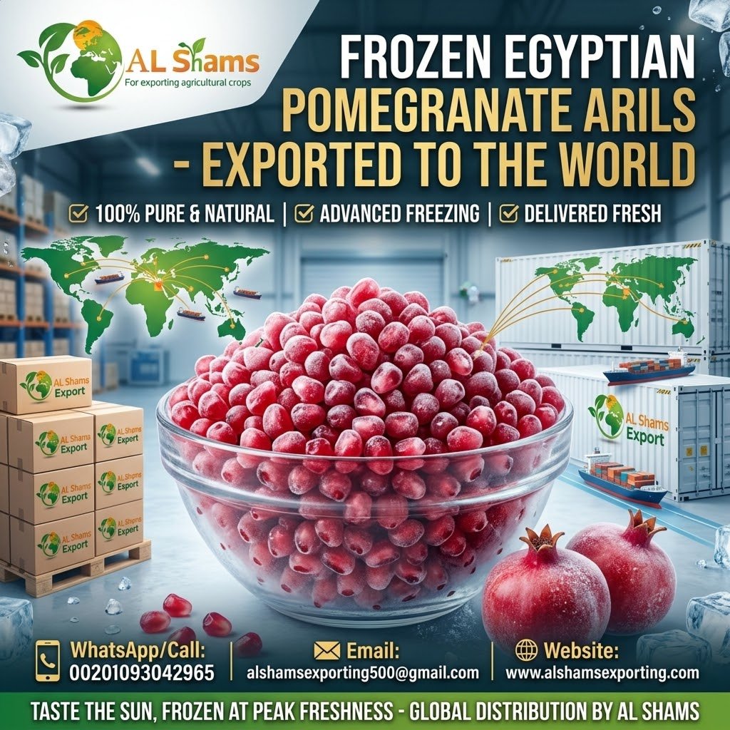 FROZEN POMEGRANATE
