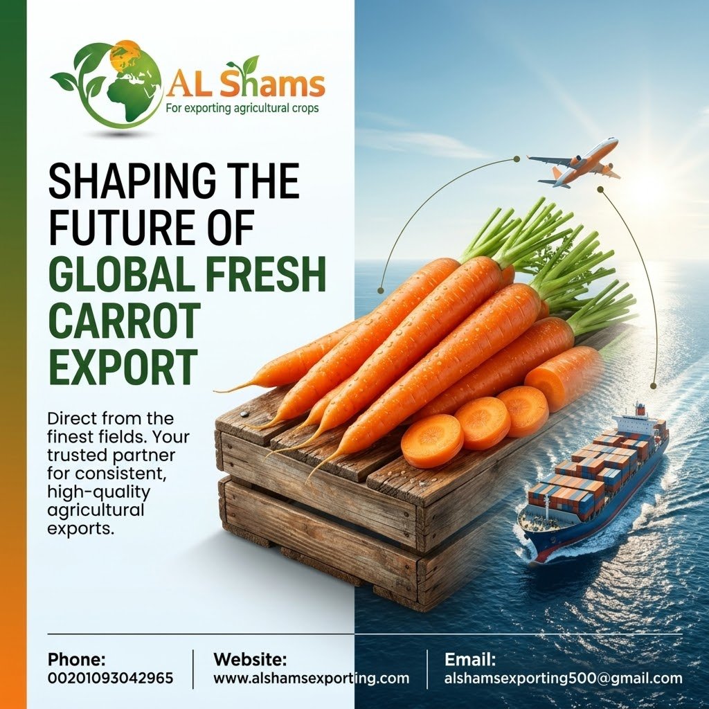 FRESH CARROT 2