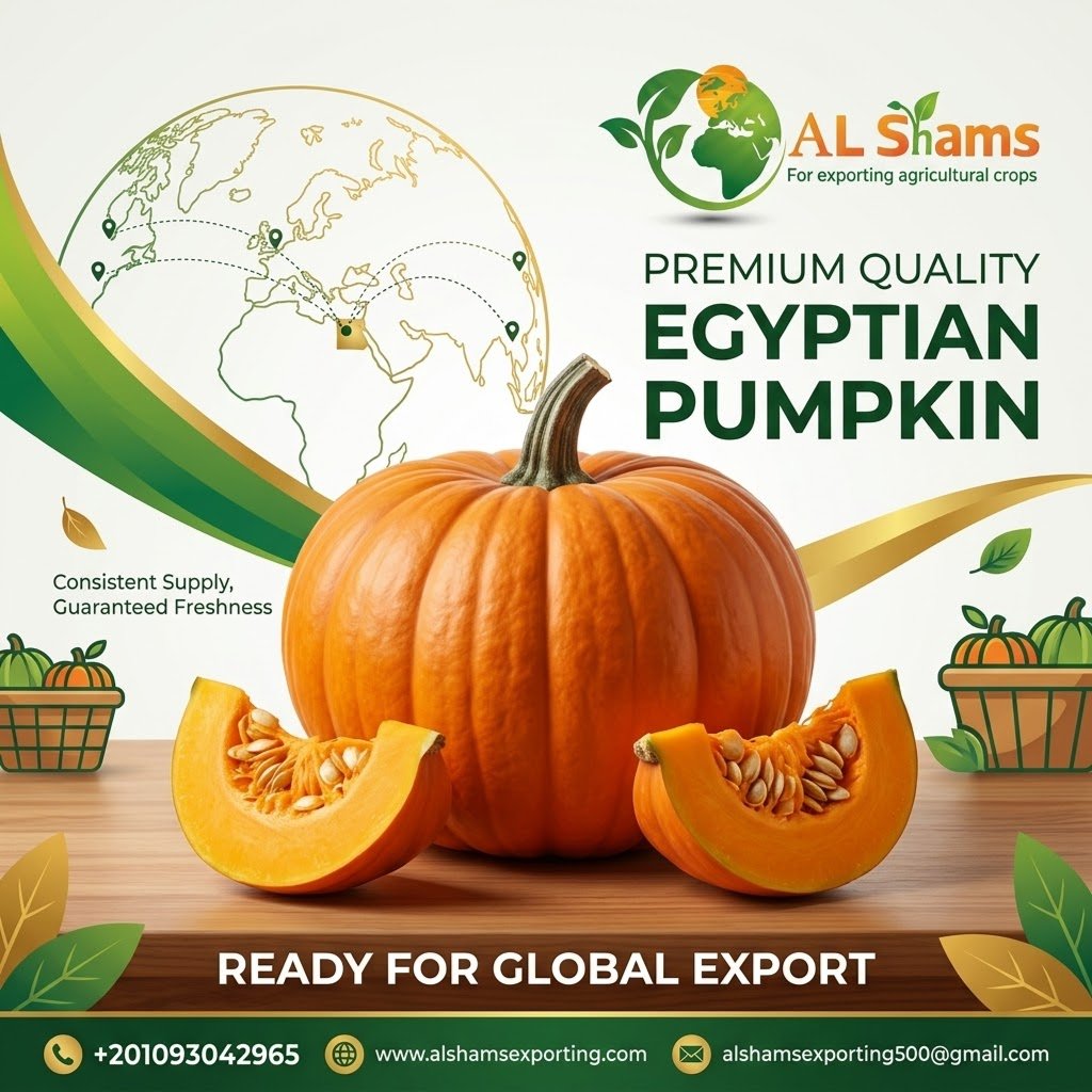 pumpkins
