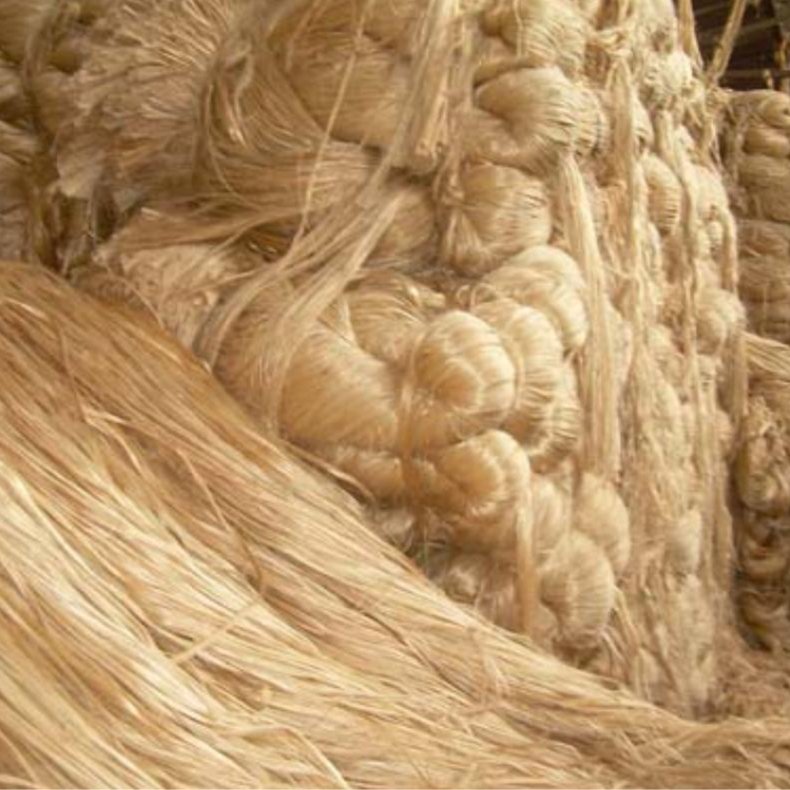 Bulk Supply of Mixed-Grade Raw Jute Fiber for Industrial Applications 2