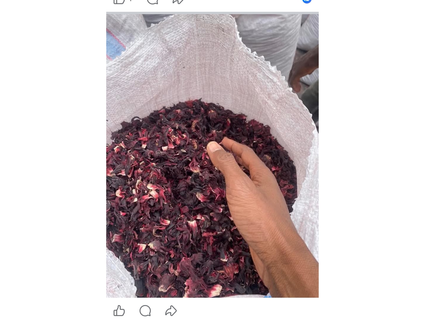 Dried hibiscus 