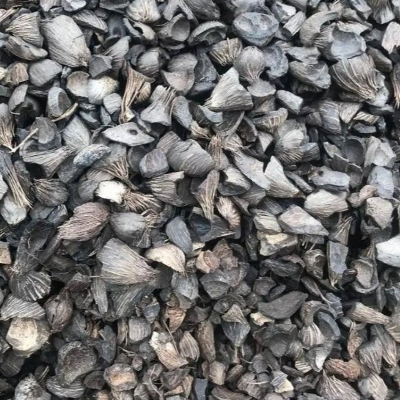 PKS charcoal 2