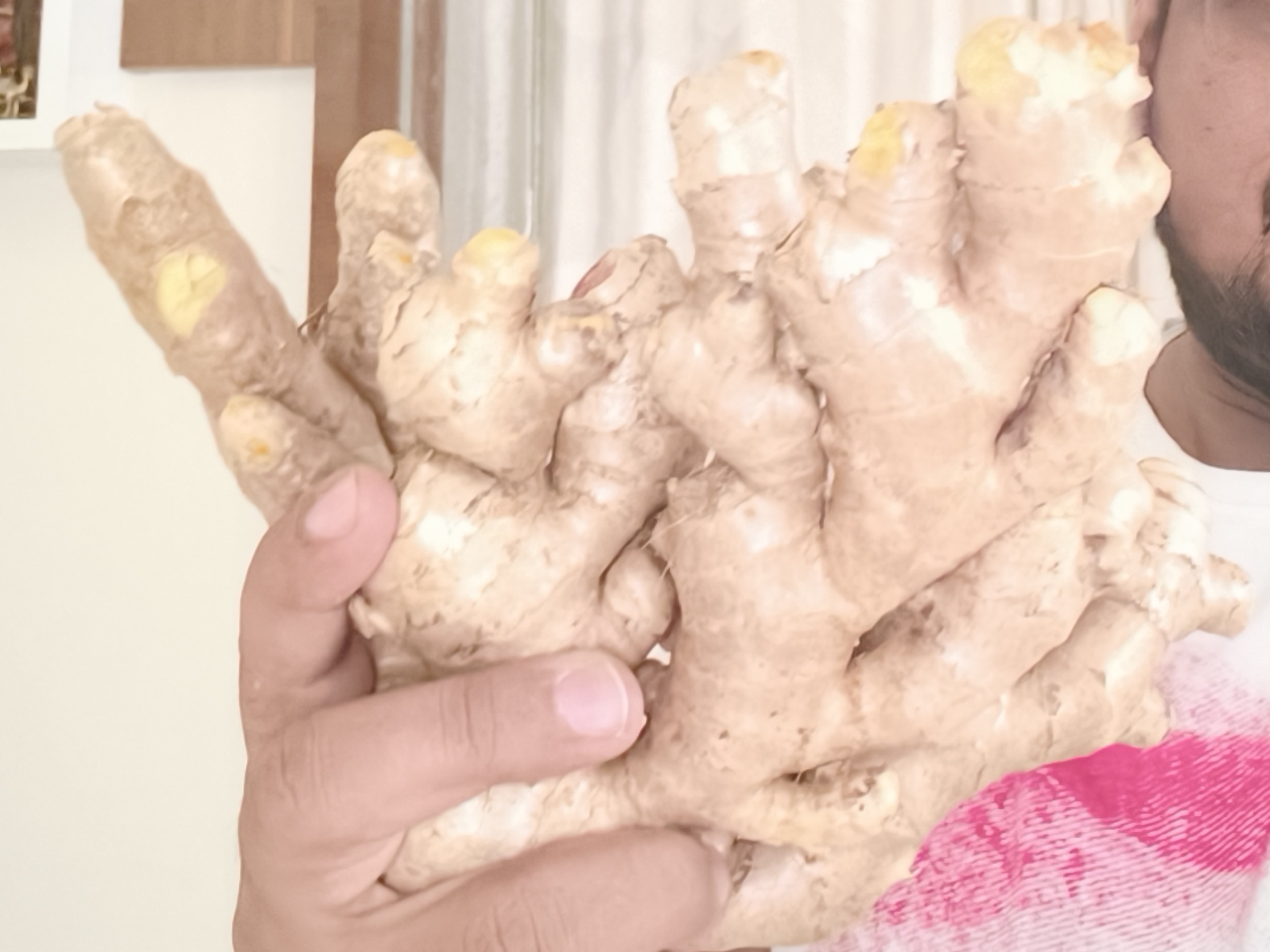 Raw ginger 3