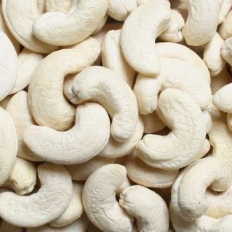 Cashew 1