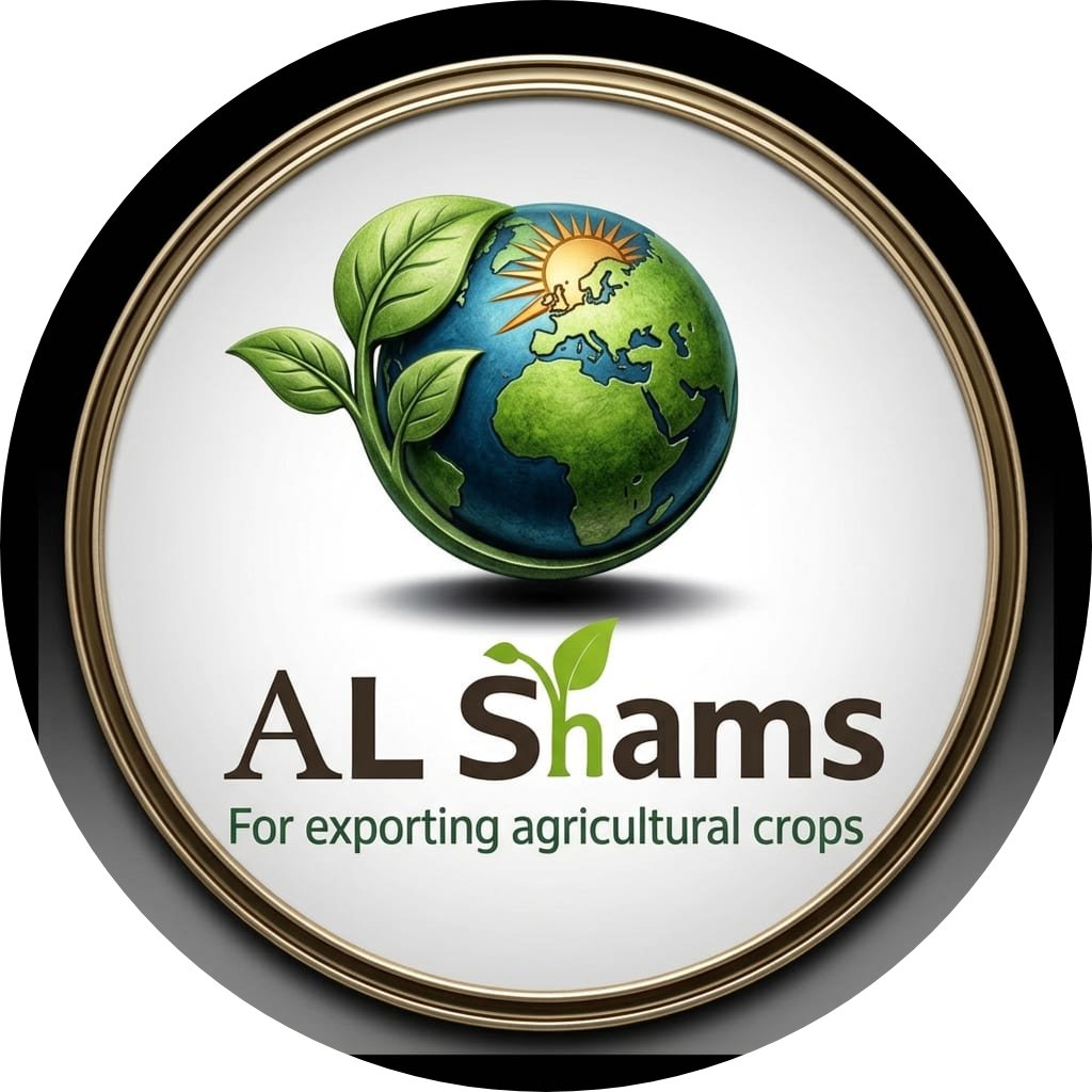 ALSHAMS