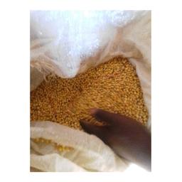 Soya beans
