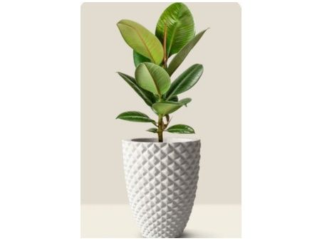 FRP Planters - Wholesale Home & Garden
